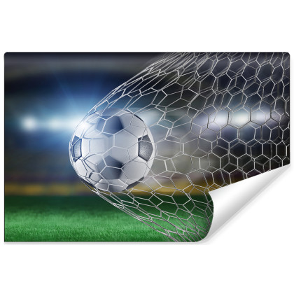 Fototapeta Piłka Nożna Gol 3D