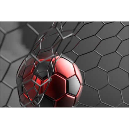 Fototapeta Sportowa Piłka W Bramce