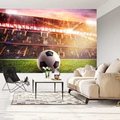 Fototapeta Piłka Nożna Na Stadionie