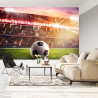 Fototapeta Piłka Nożna Na Stadionie