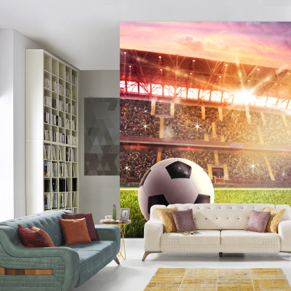 Fototapeta Piłka Nożna Na Stadionie