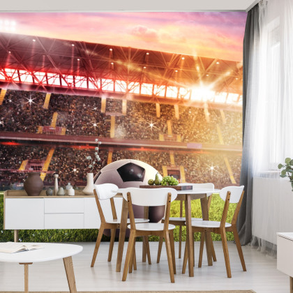 Fototapeta Piłka Nożna Na Stadionie