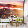Fototapeta Piłka Nożna Na Stadionie