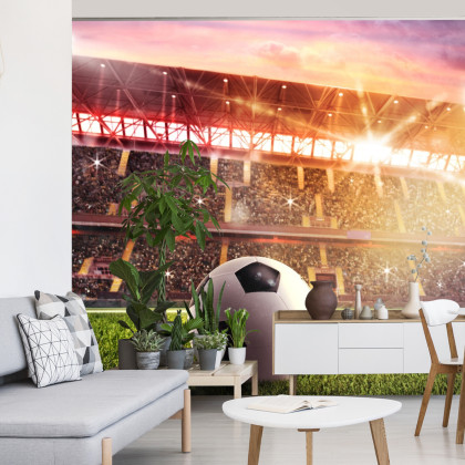 Fototapeta Piłka Nożna Na Stadionie
