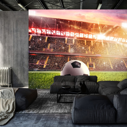 Fototapeta Piłka Nożna Na Stadionie