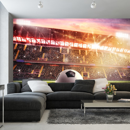 Fototapeta Piłka Nożna Na Stadionie