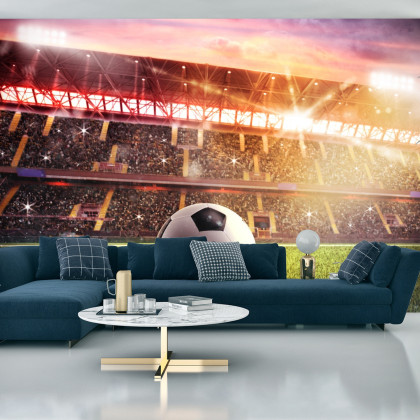 Fototapeta Piłka Nożna Na Stadionie