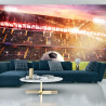 Fototapeta Piłka Nożna Na Stadionie