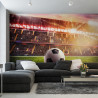 Fototapeta Piłka Nożna Na Stadionie