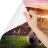 Fototapeta Piłka Nożna Na Stadionie