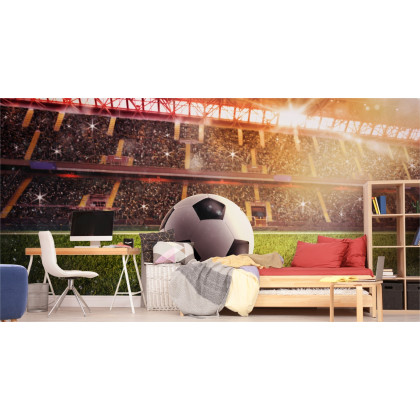 Fototapeta Piłka Nożna Na Stadionie