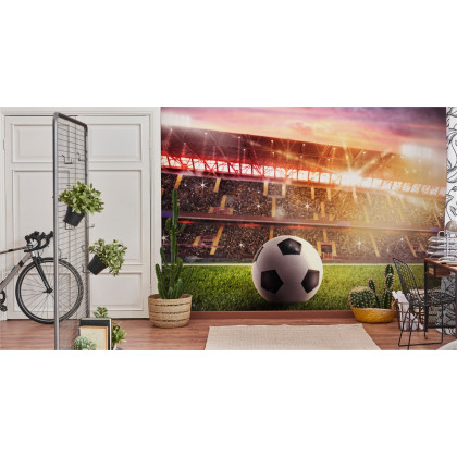 Fototapeta Piłka Nożna Na Stadionie