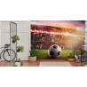 Fototapeta Piłka Nożna Na Stadionie