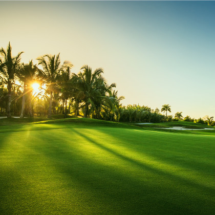 Fototapeta Pole Golfowe O Wschodzie Słońca