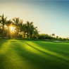 Fototapeta Pole Golfowe O Wschodzie Słońca
