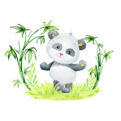 Fototapeta Panda I Bambus