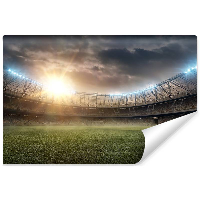 Fototapeta Boisko Stadion Piłka Nożna