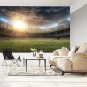 Fototapeta Boisko Stadion Piłka Nożna
