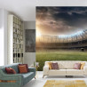 Fototapeta Boisko Stadion Piłka Nożna