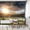 Fototapeta Boisko Stadion Piłka Nożna