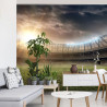 Fototapeta Boisko Stadion Piłka Nożna