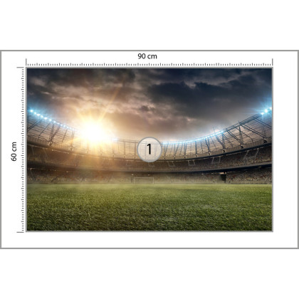 Fototapeta Boisko Stadion Piłka Nożna