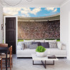 Fototapeta Piłka Nożna Stadion
