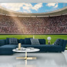 Fototapeta Piłka Nożna Stadion