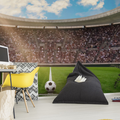 Fototapeta Piłka Nożna Stadion