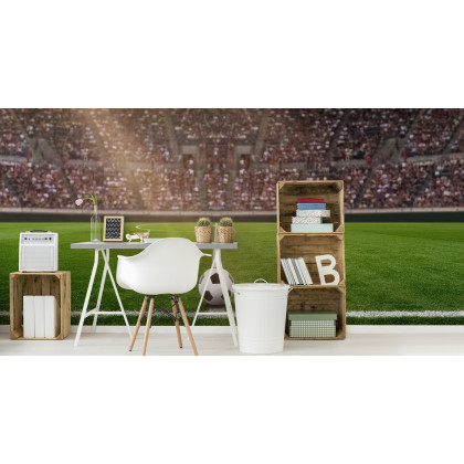 Fototapeta Piłka Nożna Stadion