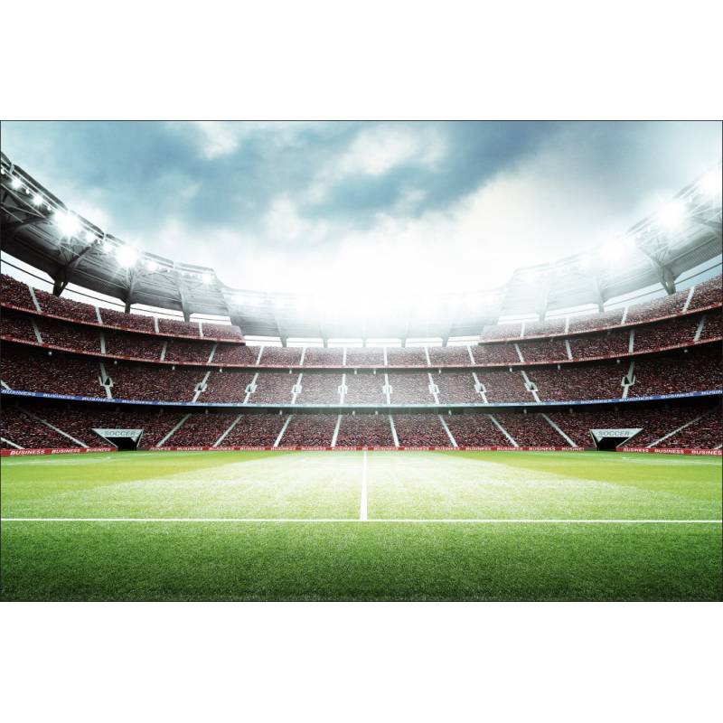 Fototapeta 3D Stadion Piłkarski