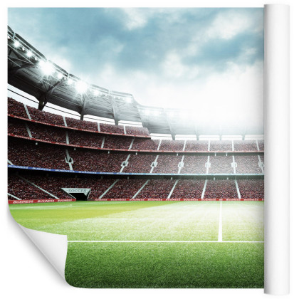 Fototapeta 3D Stadion Piłkarski