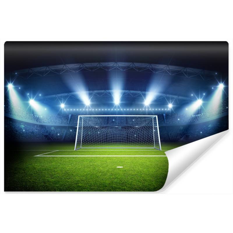 Fototapeta Bramka Na Stadionie