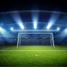 Fototapeta Bramka Na Stadionie