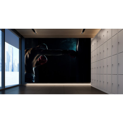 Fototapeta Trenujący Bokser W Cieniu
