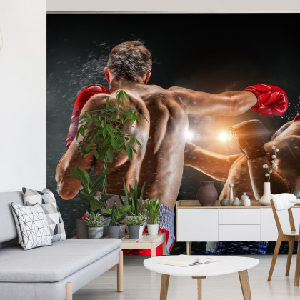 Fototapeta Walka Bokserów