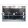 Fototapeta Bokserski Ring