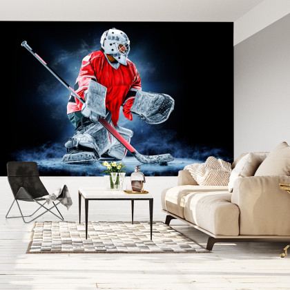 Fototapeta Bramkarz Hokejowy
