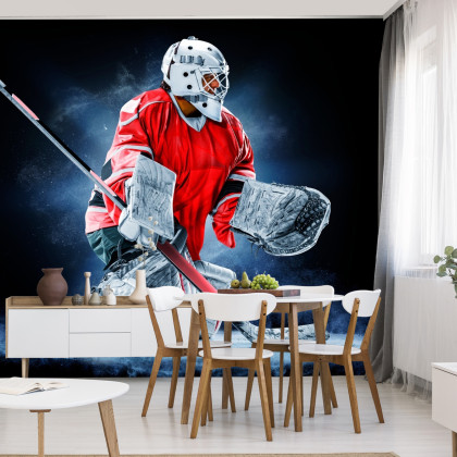 Fototapeta Bramkarz Hokejowy