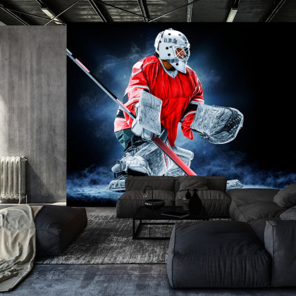 Fototapeta Bramkarz Hokejowy
