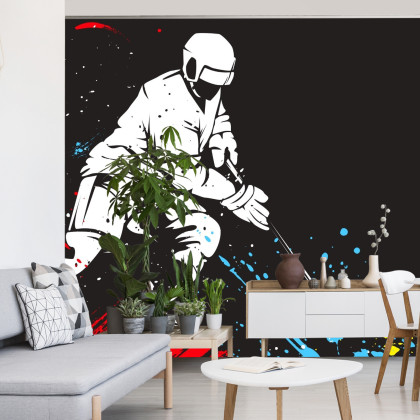 Fototapeta Hokeista