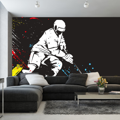 Fototapeta Hokeista