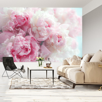 Fototapeta Kwitnące Peonie