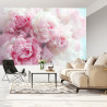 Fototapeta Kwitnące Peonie