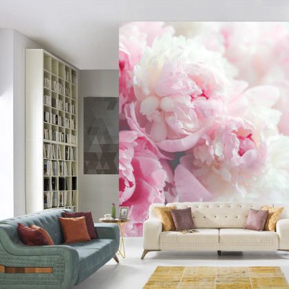 Fototapeta Kwitnące Peonie