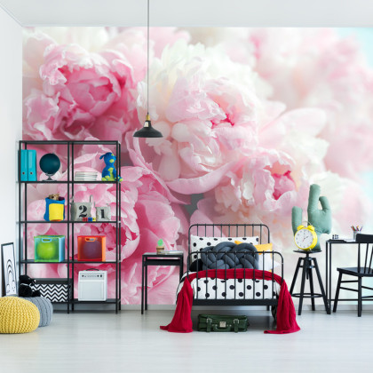 Fototapeta Kwitnące Peonie