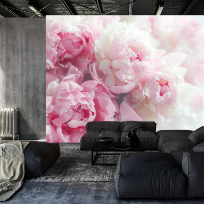 Fototapeta Kwitnące Peonie