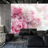 Fototapeta Kwitnące Peonie