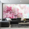 Fototapeta Kwitnące Peonie