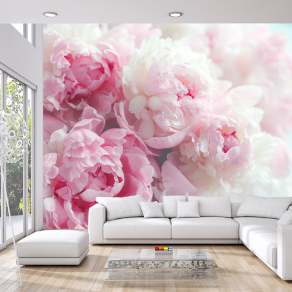 Fototapeta Kwitnące Peonie